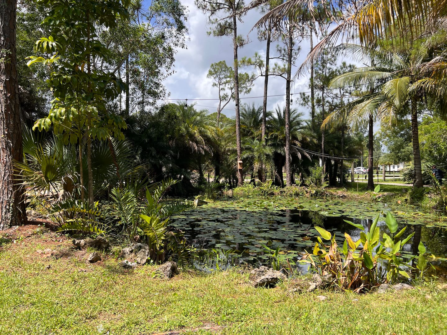 Photo 25
