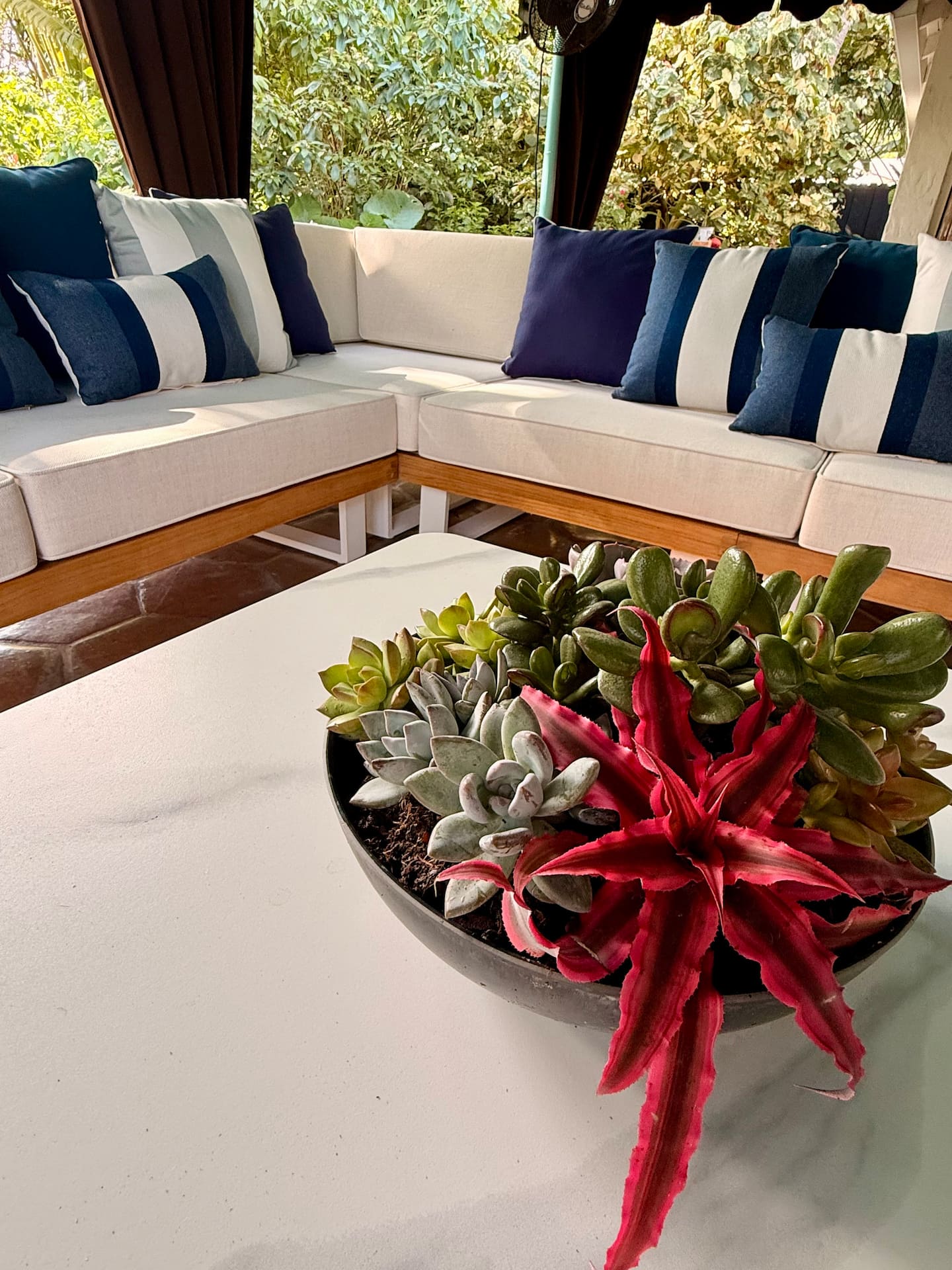 Photo 242