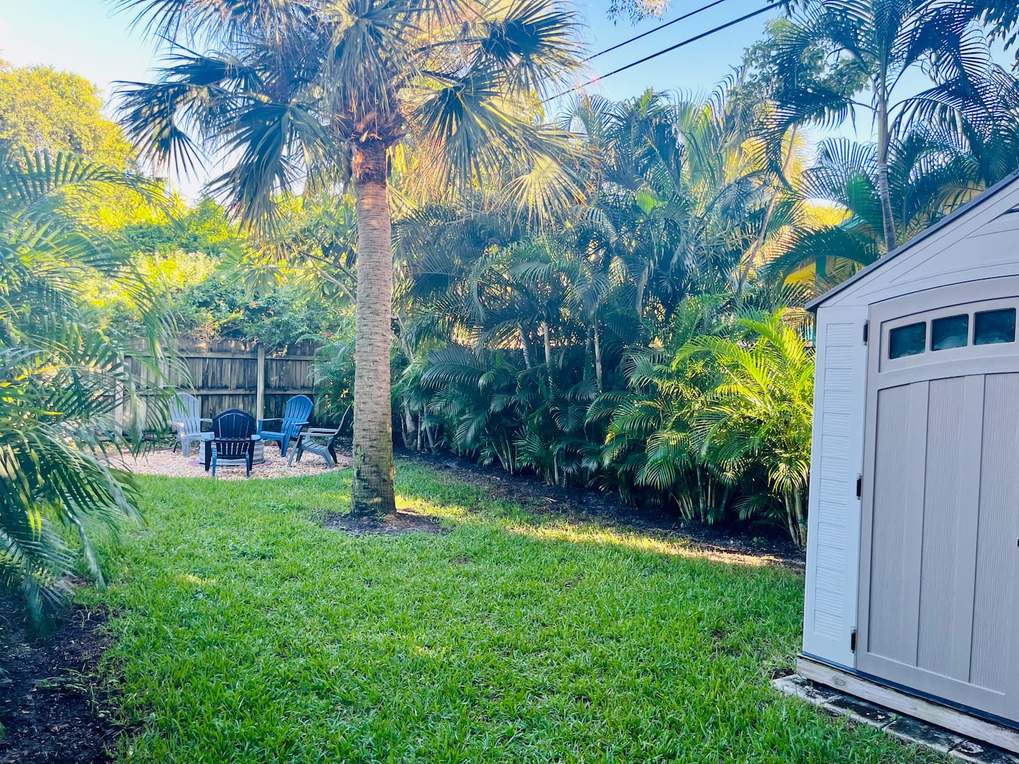 Photo 46