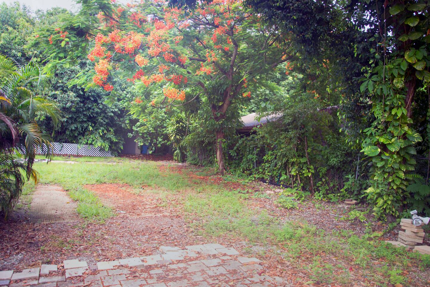 Photo 41