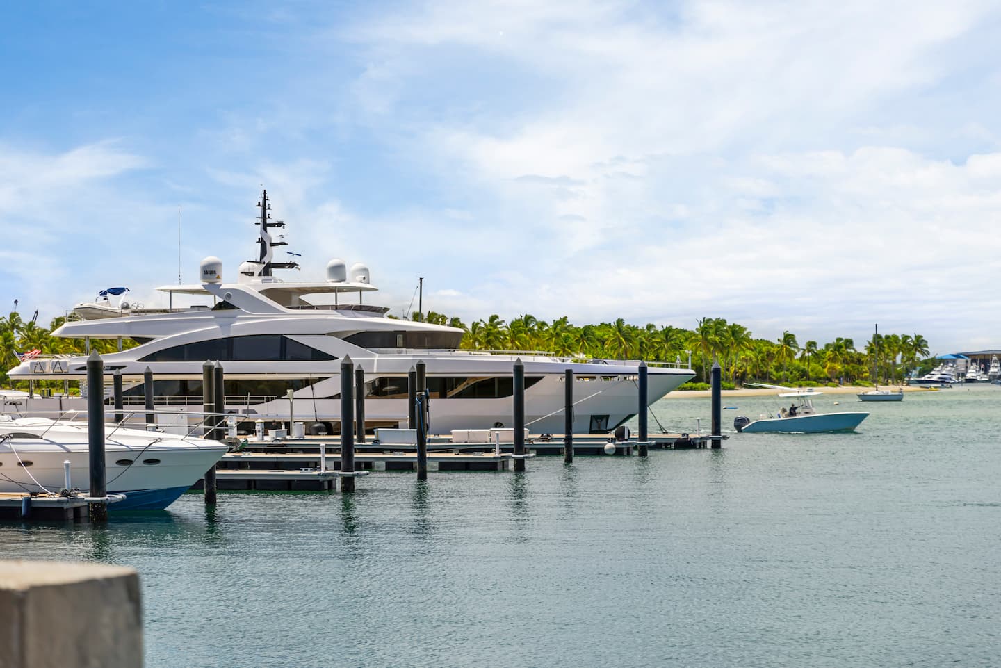 Photo 106