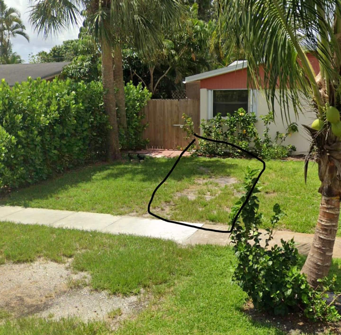 Photo 44