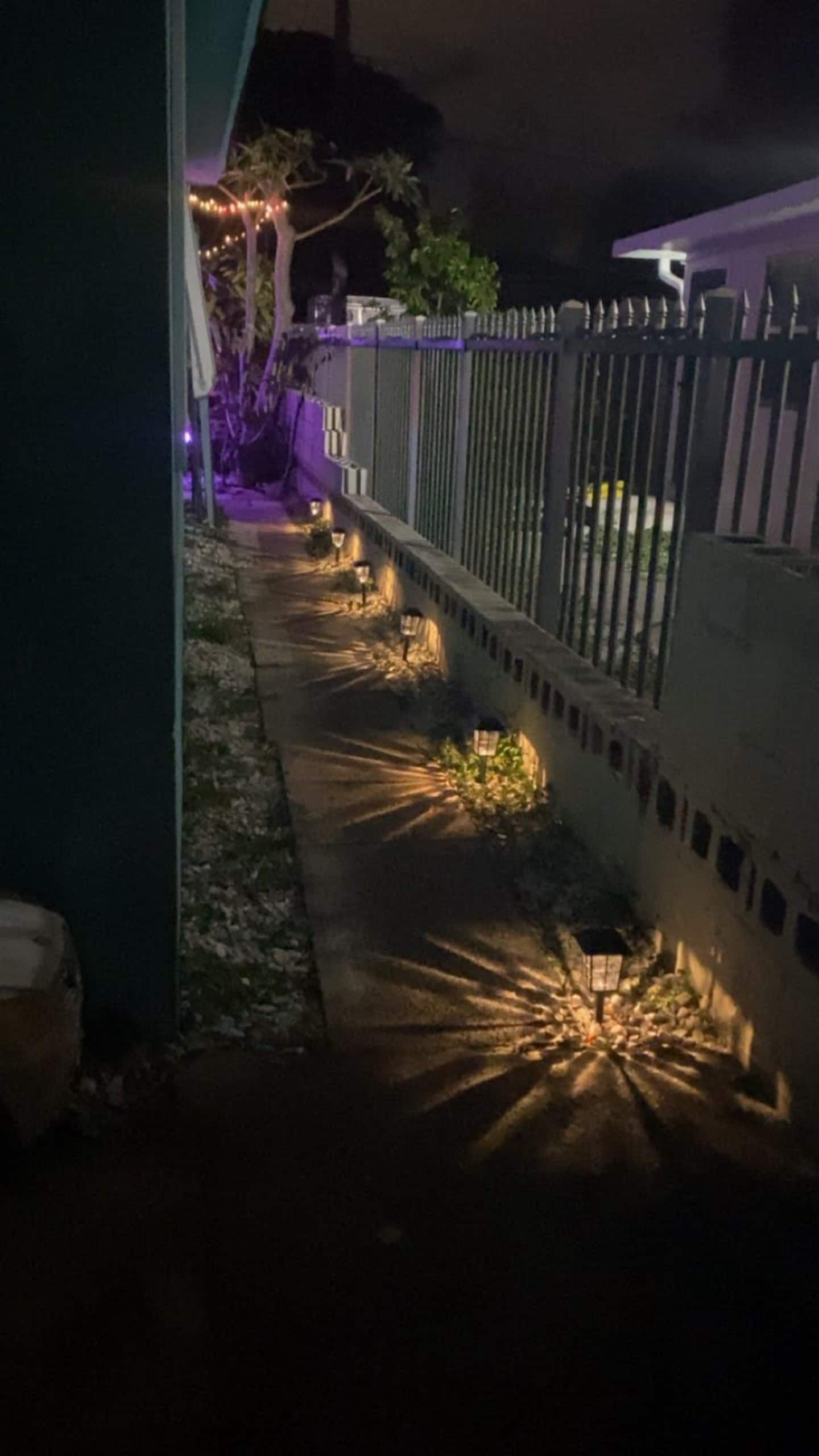 Photo 36