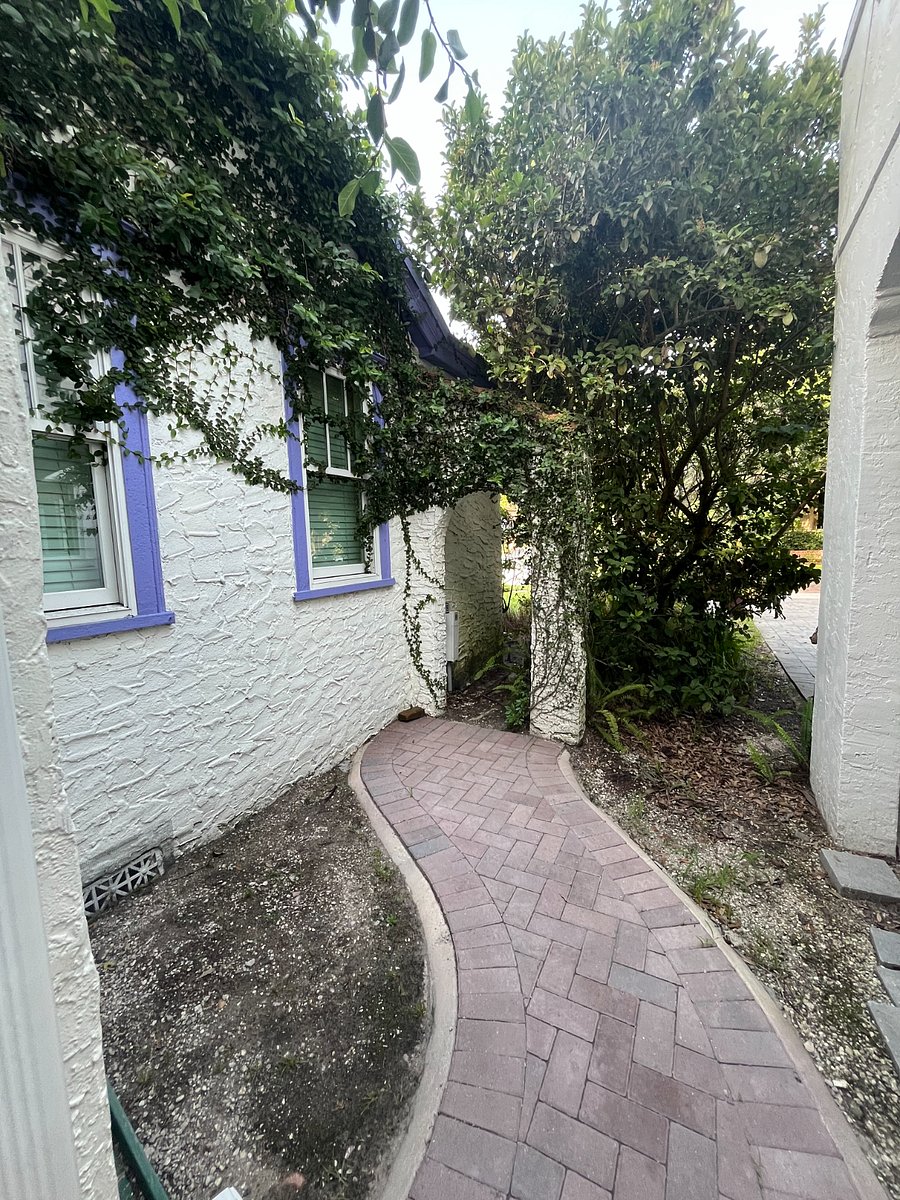 Photo 31