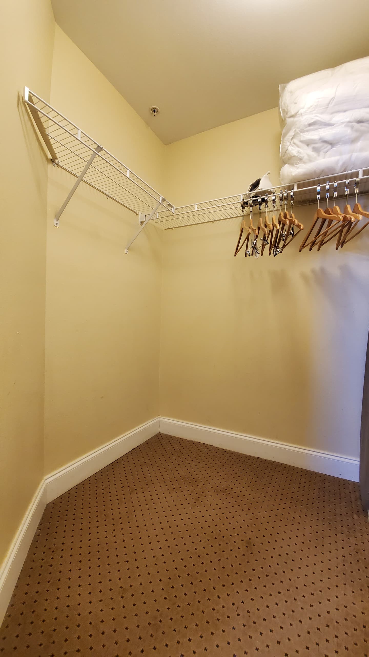 Photo 54
