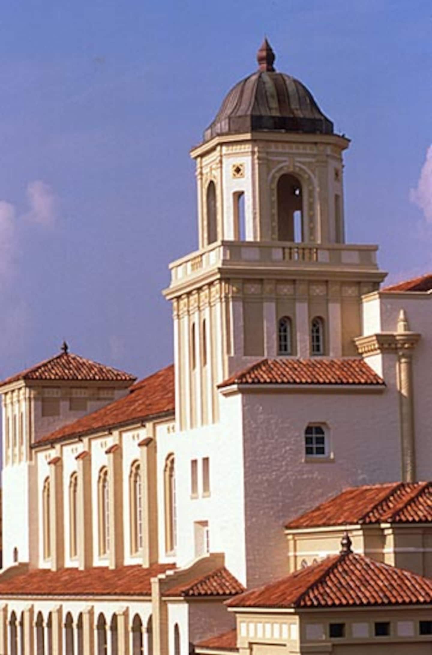 Photo 42