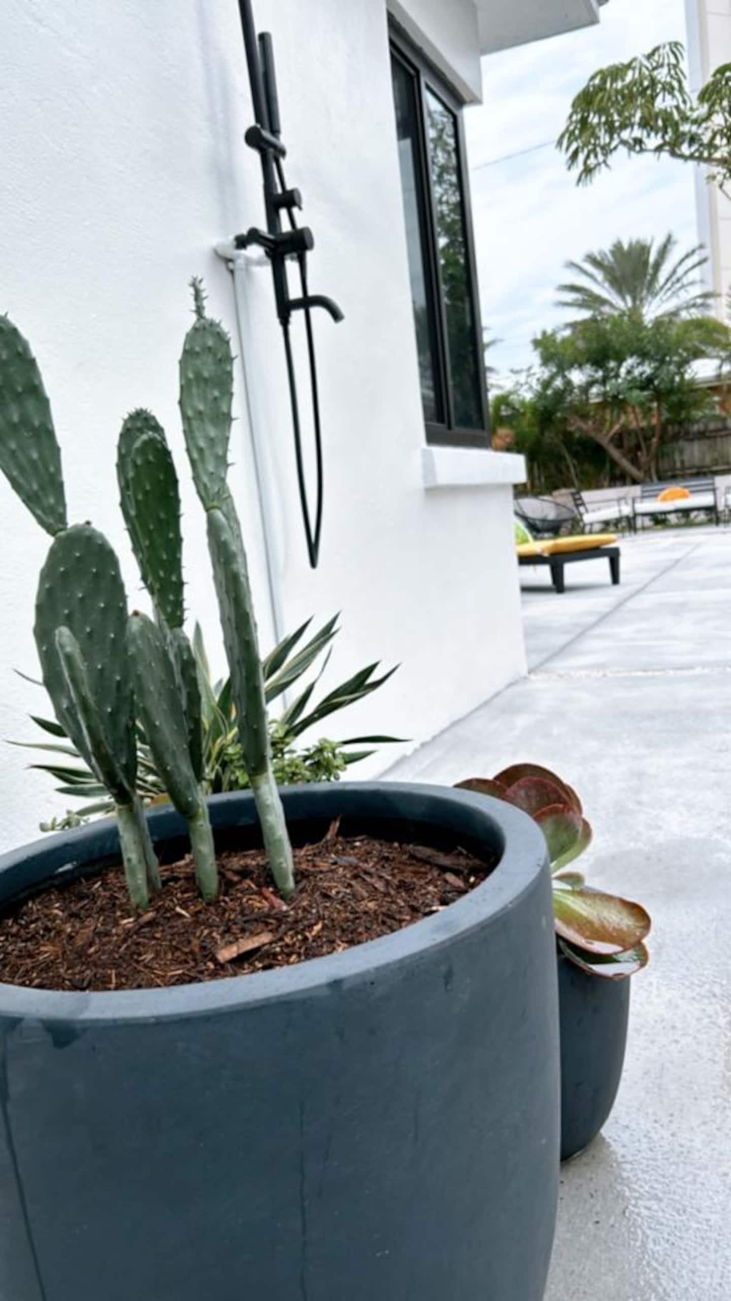 Photo 71
