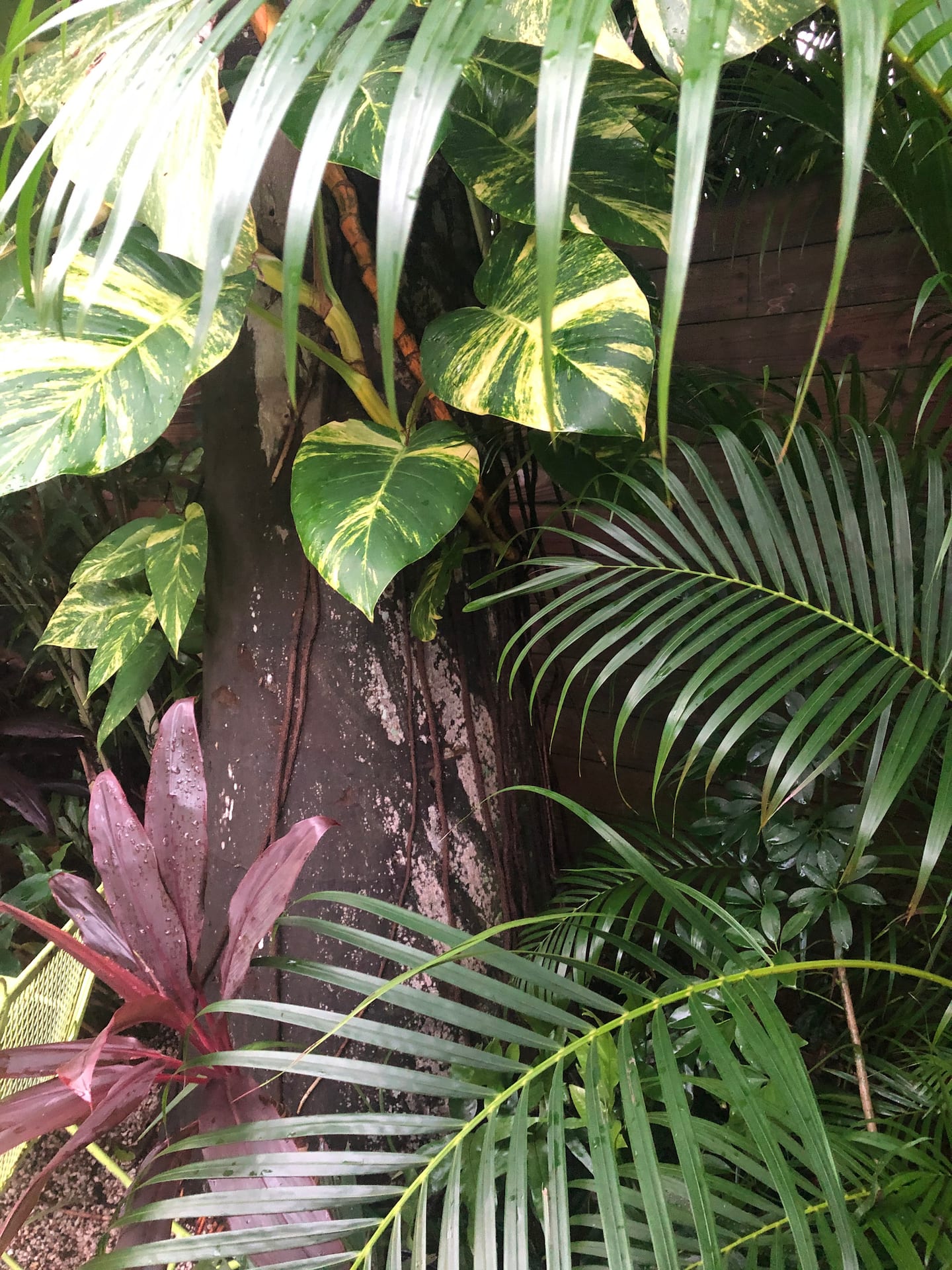 Photo 49