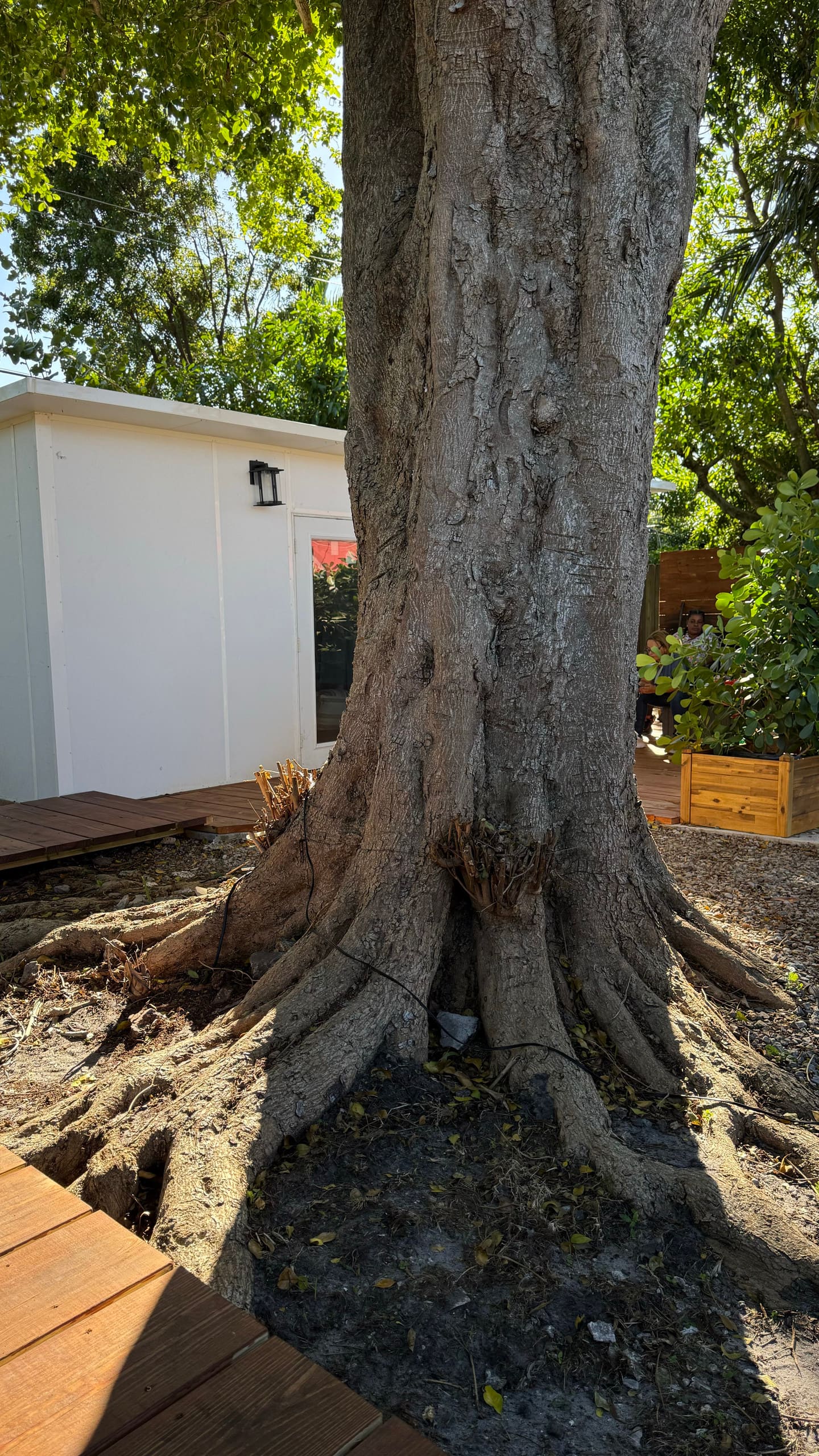 Photo 44