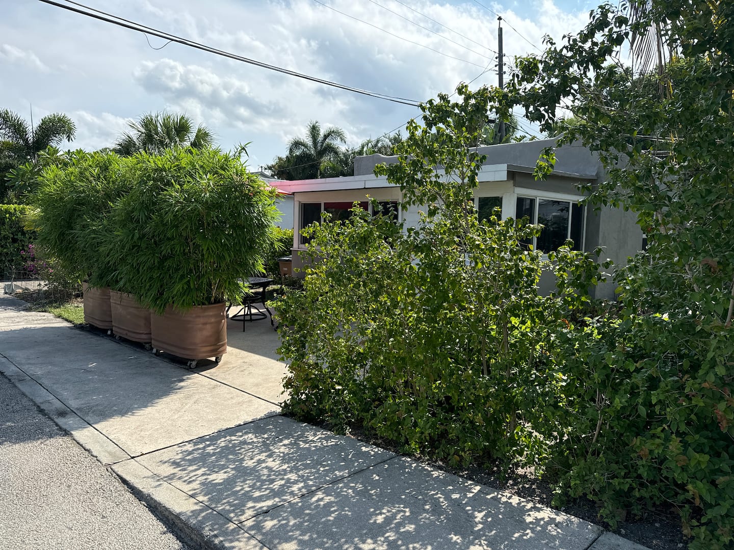 Photo 43