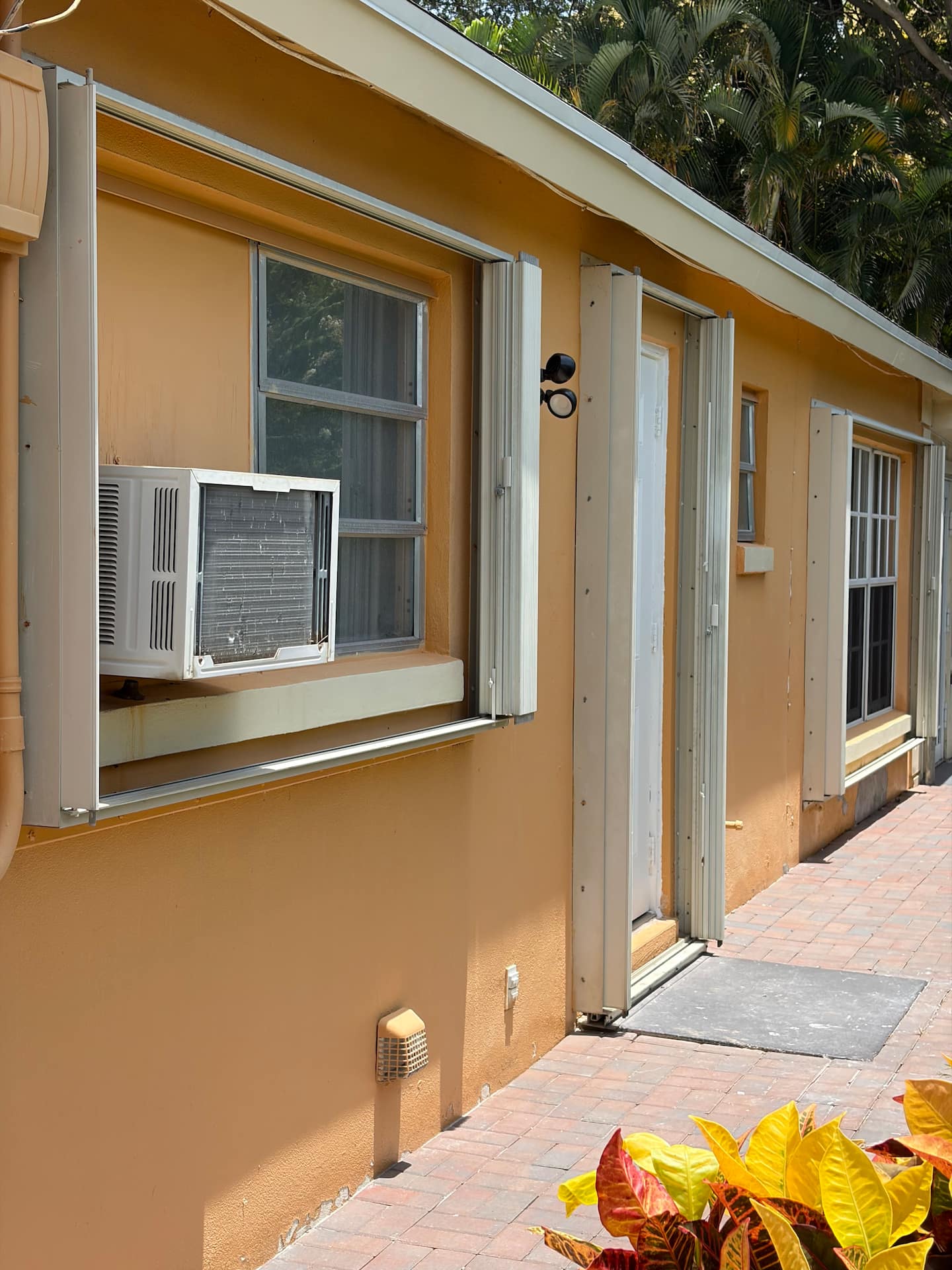 Photo 46