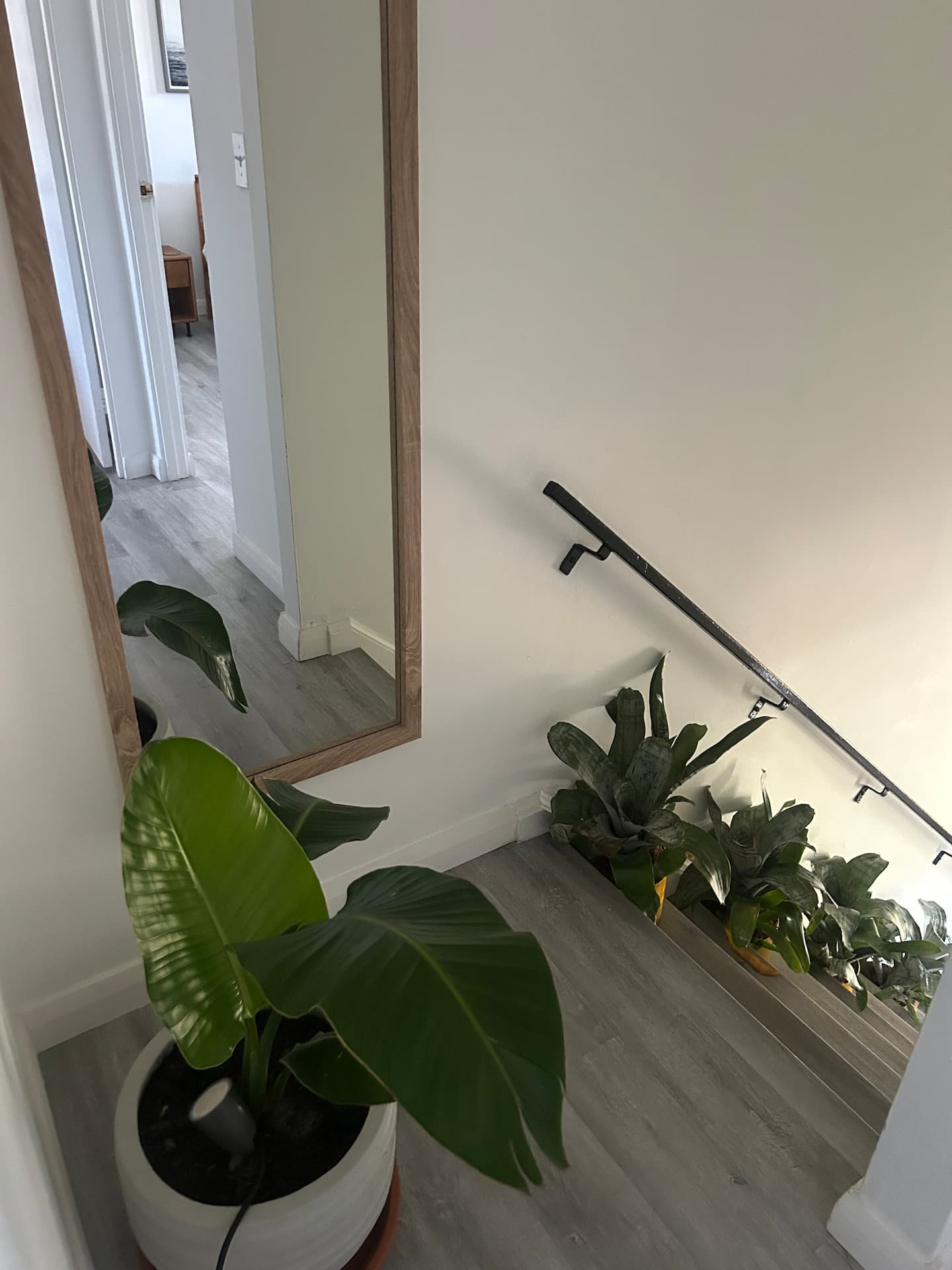Photo 137