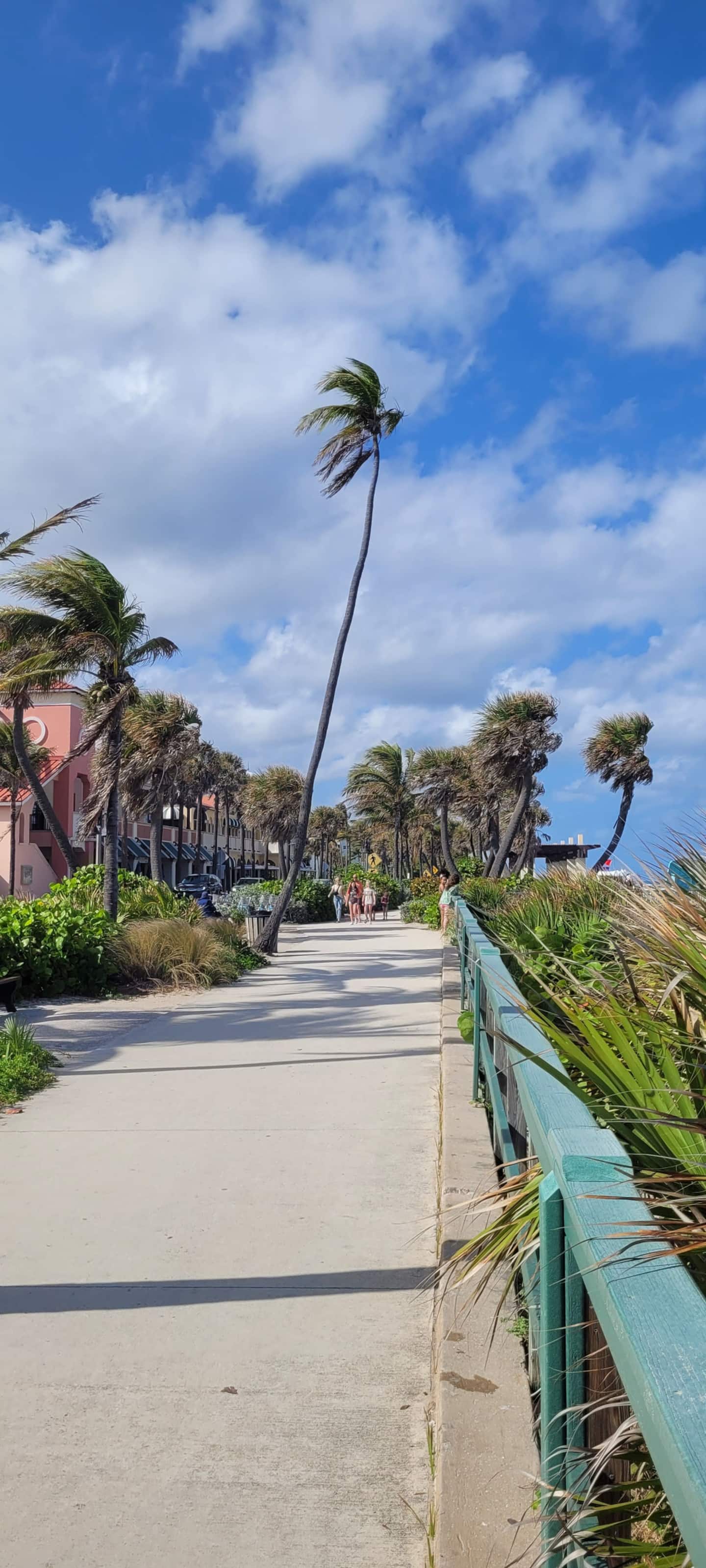 Photo 161