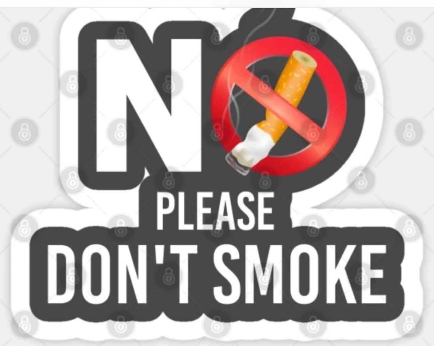 Photo 167