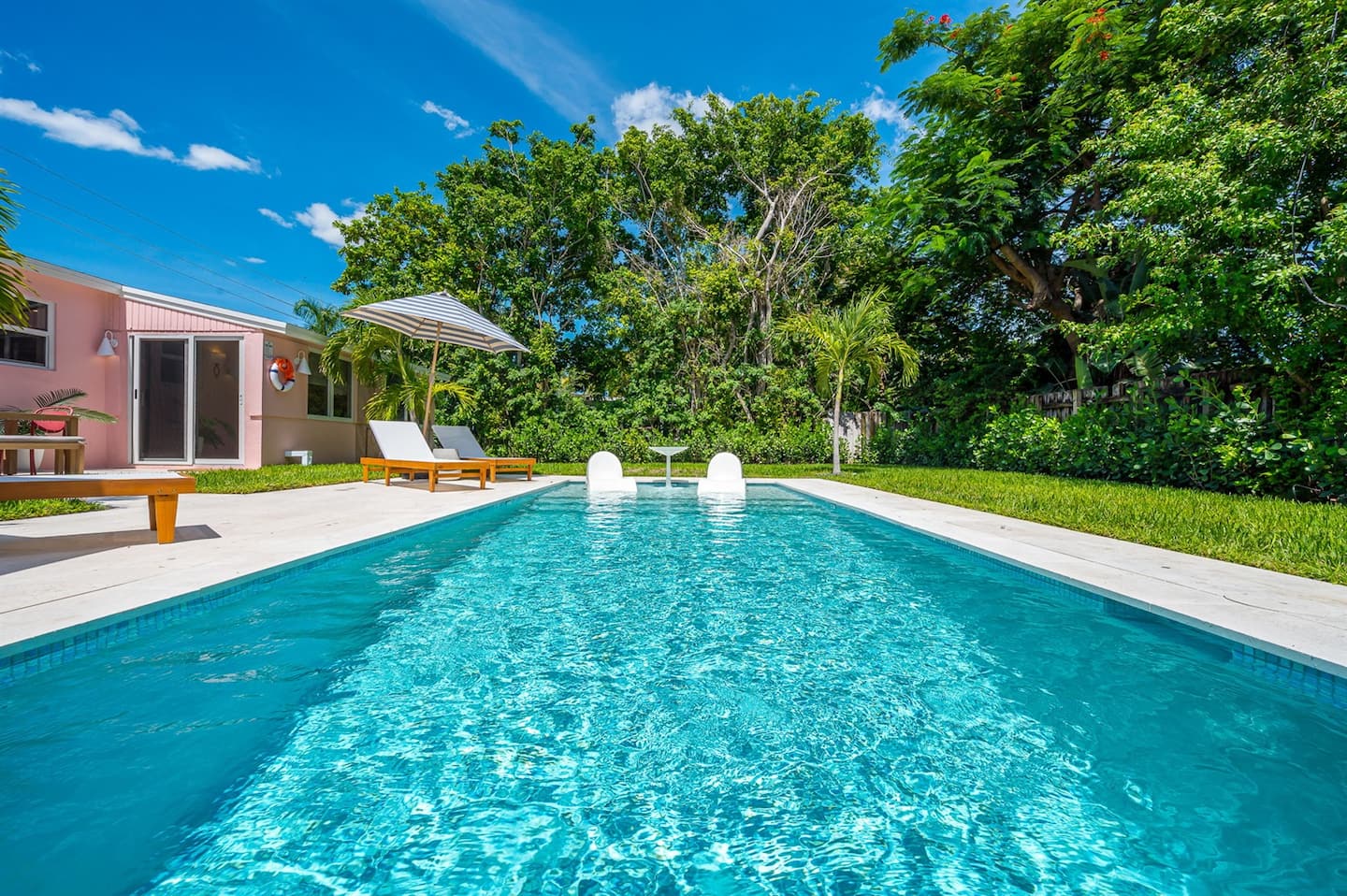 Photo 237