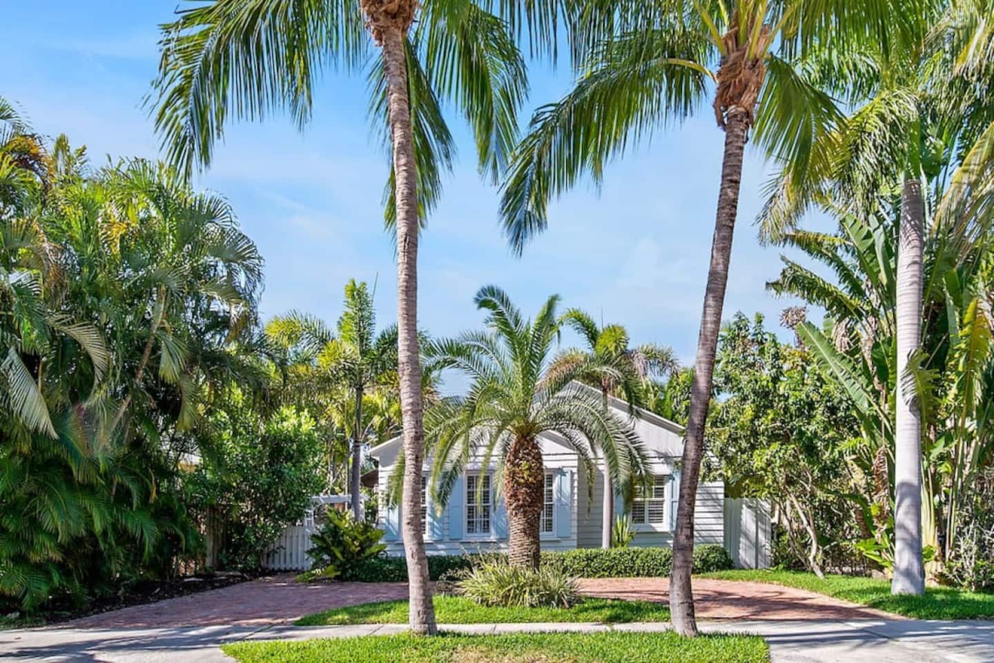 Photo 246