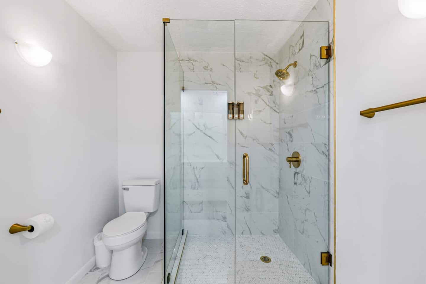 Photo 534