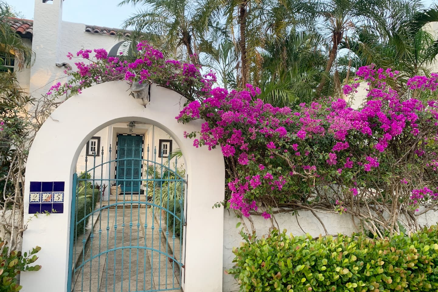 Photo 78